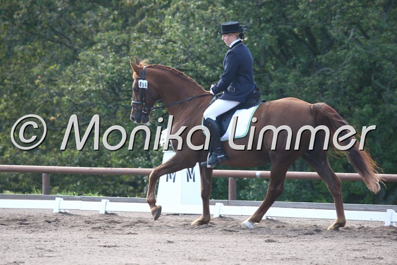 009M0656_Full House_Dressur A.JPG